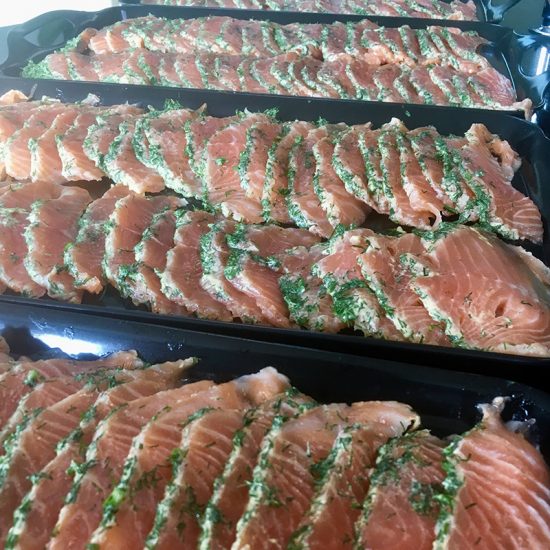 Salmon